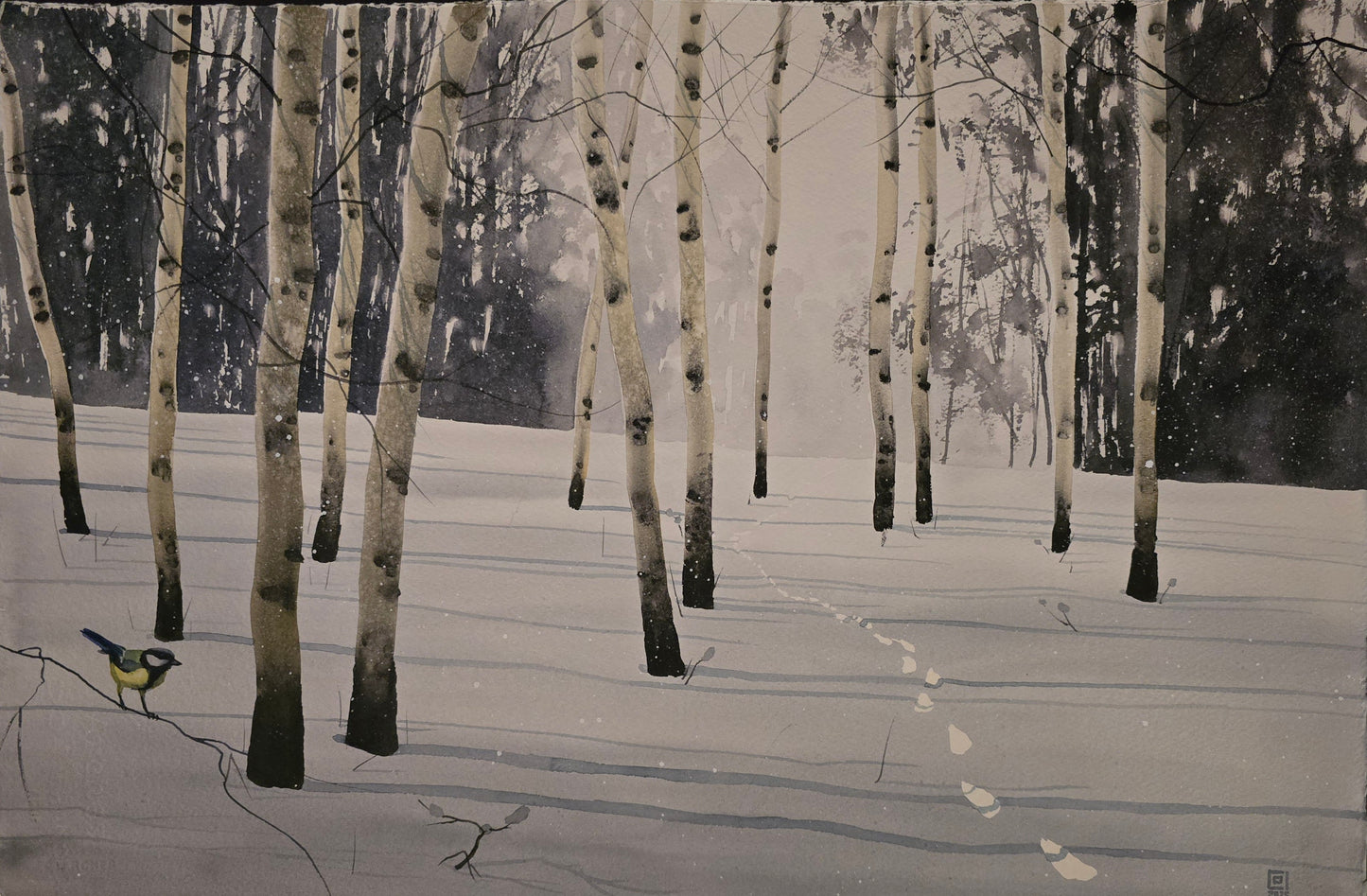 Christian Koivumaa, Björkar I, 57 x 38 cm