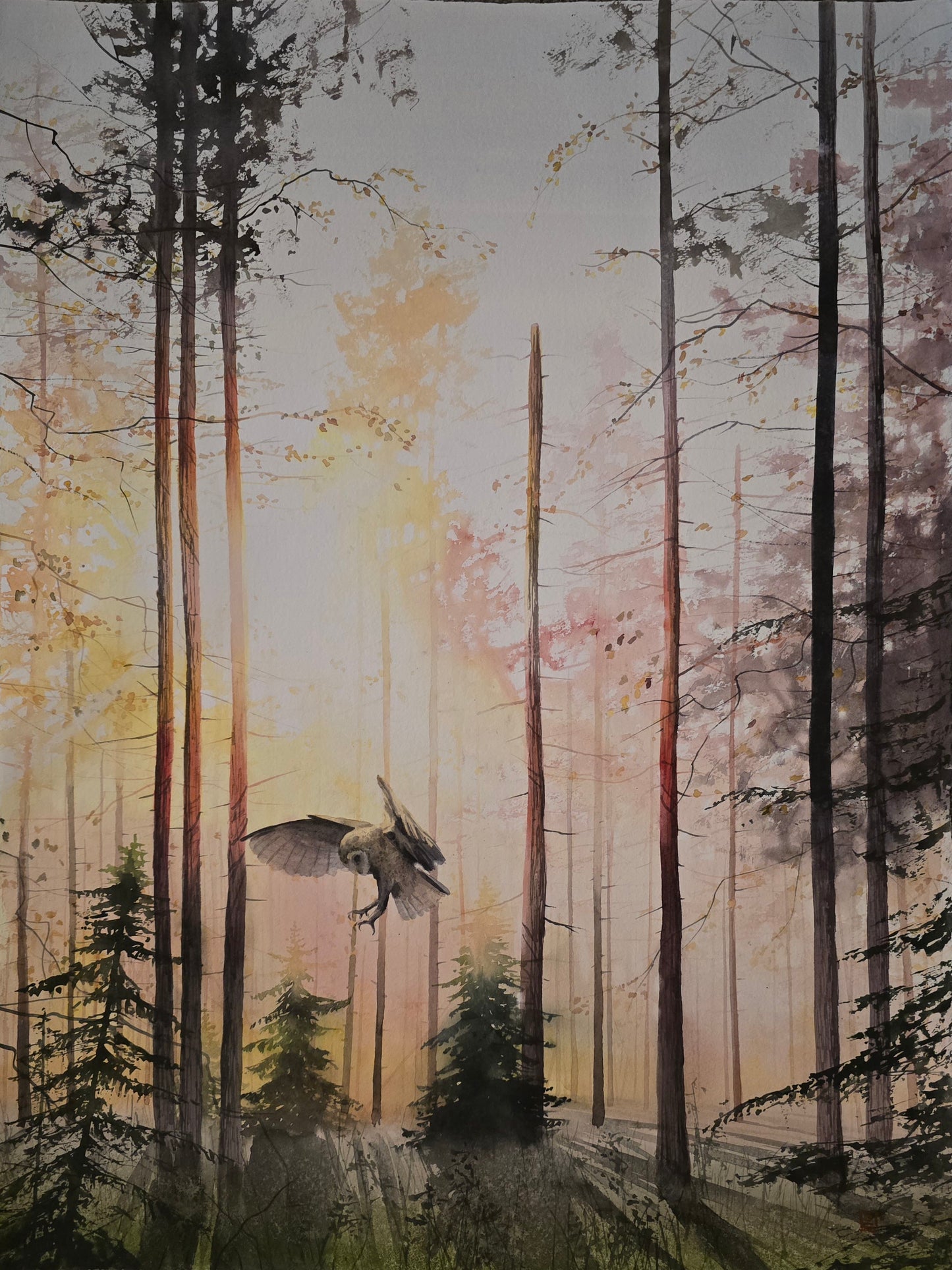 Christian Koivumaa, Skogsljus- Forrest, 75 x 102 cm