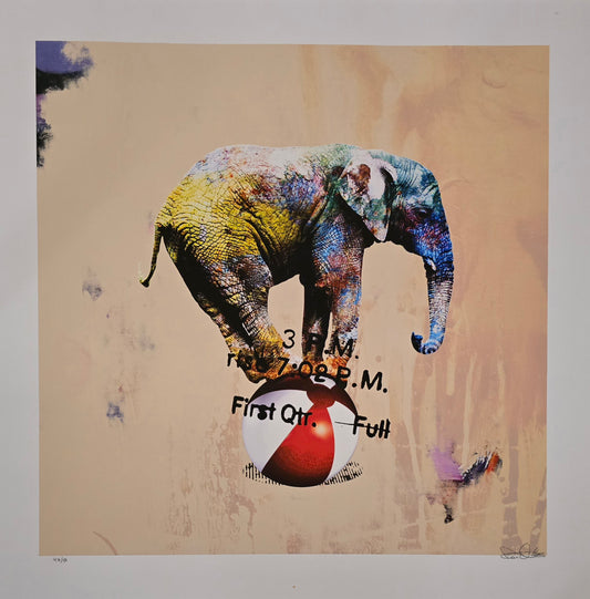 Robert Hilmersson, Elephant. print, 50 x 50 cm