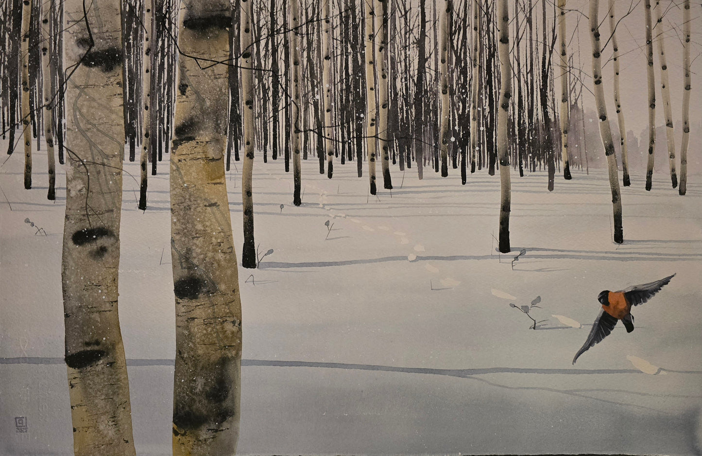 Christian Koivumaa, Björkar III, 57 x 38 cm