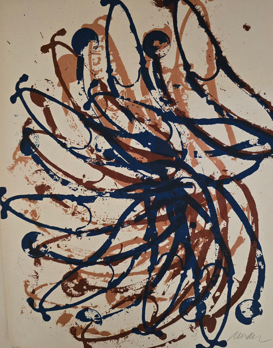 Arman, Dr special, lito, 42 x 54 cm