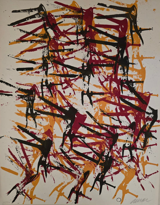 Arman, Dr special, lito, 42 x 54 cm