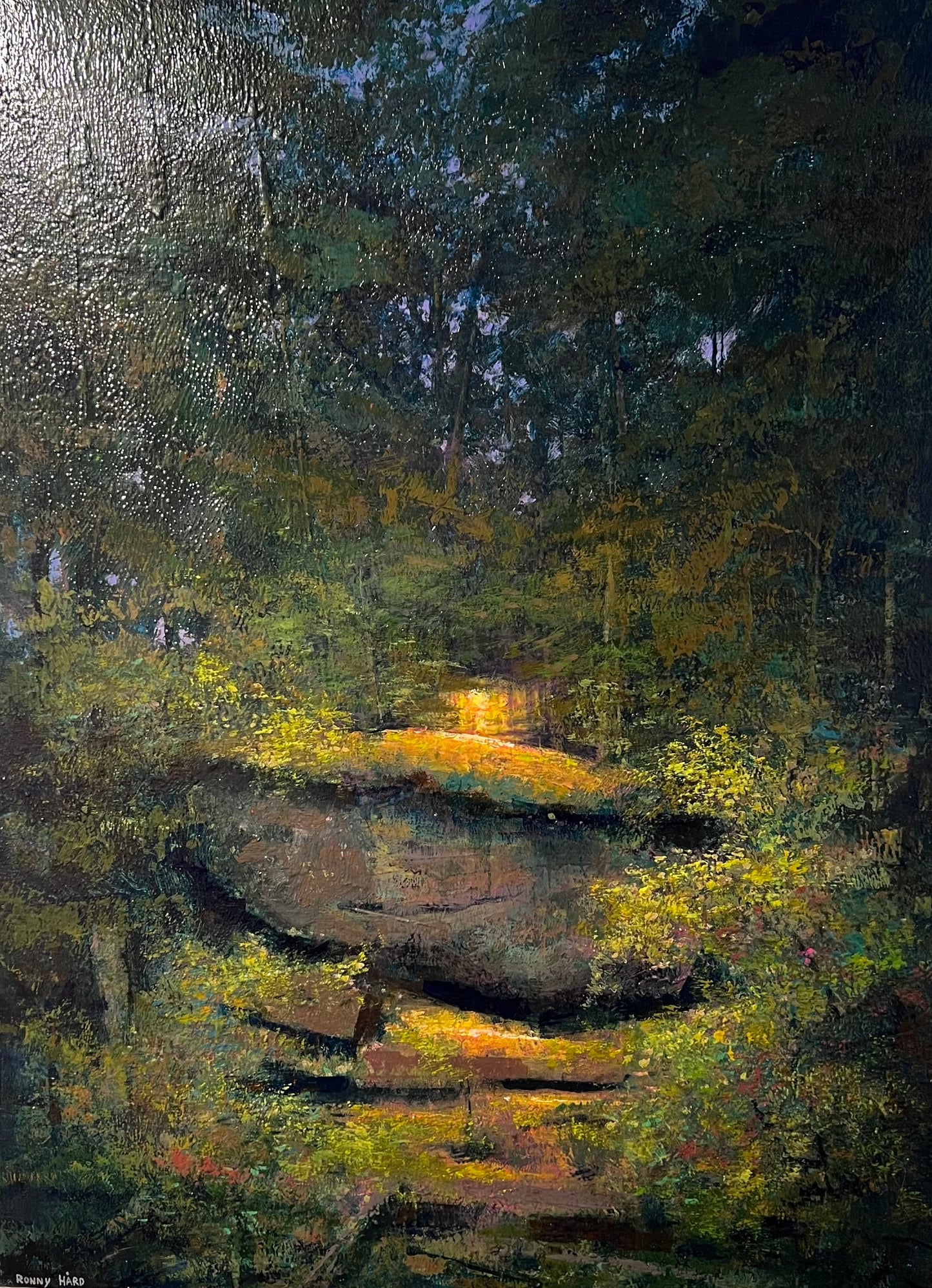 Ronny Hård 60 x 80 cm