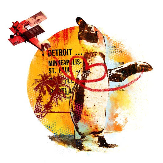 Robert Hilmersson, Penguen loves airplanes, 50 x 50 cm